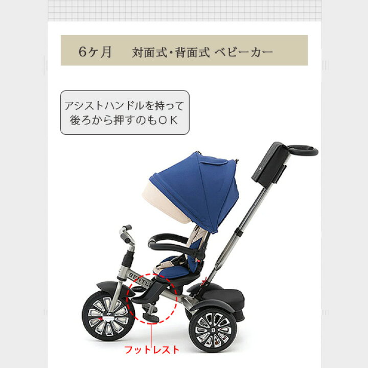 楽天市場】【お取り寄せ】【Bentley 限定バージョン】ベントレー 6 in 