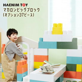 【楽天1位】 【在庫有り】HAENIM TOY (Anuri) マカロン ビッグ ブロック 37ピース オプションセット 積み木 大きい カラフル カラーブロック おもちゃ オモチャ パズル 知育玩具 お家 プレイハウス ドア付 ハウス キッズハウス おしゃれ 屋内 室内 韓国 子供 遊具