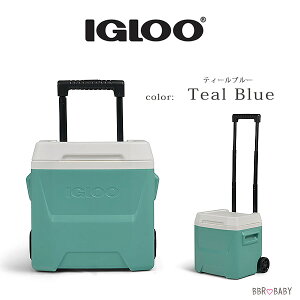 �y�݌ɗL��z�yIgloo�z�N�[���[�{�b�N�X ���^ �C�O���[ ���O�[�i �A�C�X�`�F�X�g �N�[���[ 16QT 15L �L���X�^�[�t�� �ۗ� ���� �r�[�` �L�����v �ނ� �o�[�x�L���[ �A�E�g�h�A ���W���[ �X�|�[
