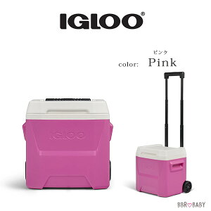 �y�y�V1�ʁz �y�݌ɗL��z�yIgloo�z�N�[���[�{�b�N�X ���^ �C�O���[ ���O�[�i �A�C�X�`�F�X�g �N�[���[ 16QT 15L �L���X�^�[�t�� �ۗ� ���� �r�[�` �L�����v �ނ� �o�[�x�L���[ �A�E�g�h�A ���W