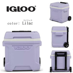 yIgloozCO[ vt@C [[ N[[ 16QT 15L LX^[t N[[{bNX ^ ۗ  r[` Lv ނ o[xL[ AEghA W[ X|[c h Igloo Profil
