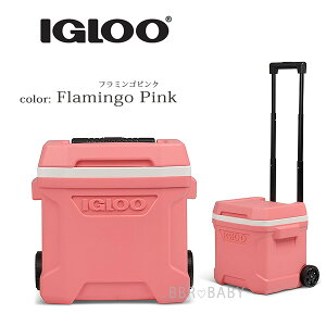 �y�y�V1�ʁz �y�݌ɗL��z�yIgloo�z�N�[���[�{�b�N�X ���^ �C�O���[ �v���t�@�C�� ���[���[ �N�[���[ 16QT 15L �L���X�^�[�t�� �ۗ� ���� �r�[�` �L�����v �ނ� �o�[�x�L���[ �A�E�g�h�A ���W��
