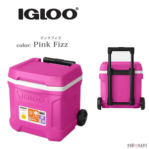 �y�y�V1�ʁz �y�݌ɗL��z�yIgloo�z�N�[���[�{�b�N�X ���^ �C�O���[ �v���t�@�C�� ���[���[ �N�[���[ 16QT 15L �L���X�^�[�t�� �ۗ� ���� �r�[�` �L�����v �ނ� �o�[�x�L���[ �A�E�g�h�A ���W��