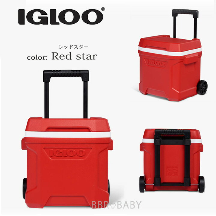 楽天市場】【楽天1位】 【在庫有り】【Igloo】クーラーボックス 小型 