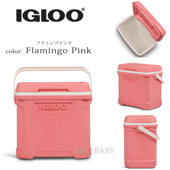 楽天市場】【在庫有り】【Igloo】クーラーボックス 小型 イグルー 