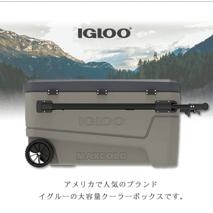 楽天市場】【アウトレットY】イグルー グライド ローラー クーラー 