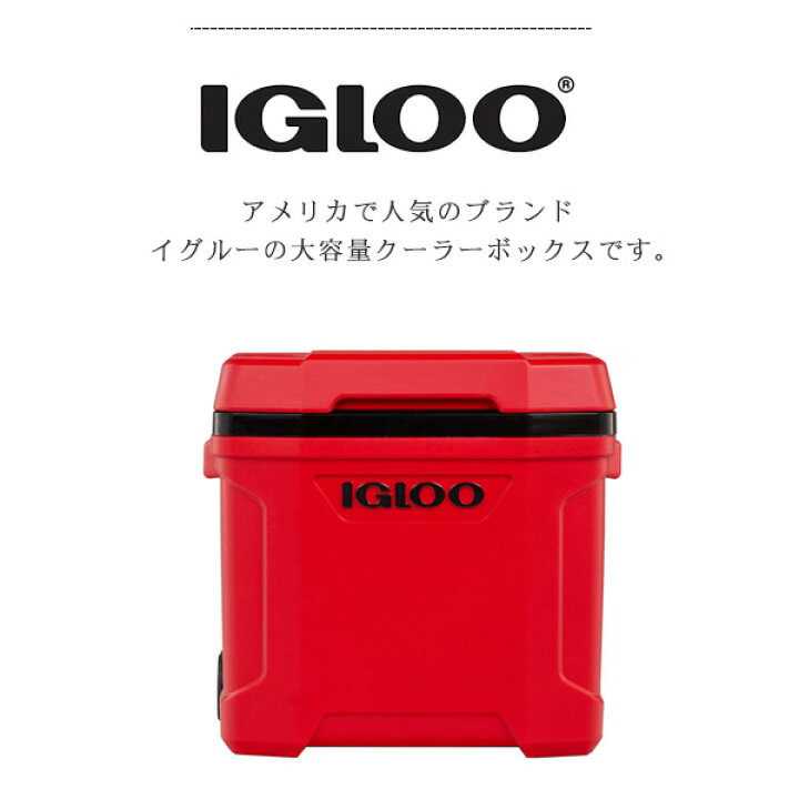 楽天市場】【在庫有り】【Igloo】イグルー ラティチュード ローラー 