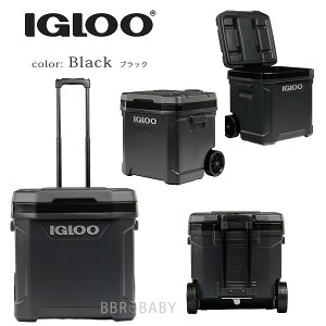 イグルー クーラーボックス 60」の人気商品一覧・価格比較 - 価格.com