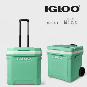 y݌ɗLzyIgloozN[[{bNX ^ CO[ eB`[h [[ N[[ 60QT 56L LX^[t ۗ hNz_[ sNjbN r[` Lv ނ o[xL[ AE