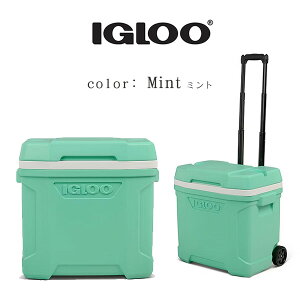 �y�y�V1�ʁz �y�݌ɗL��z�yIgloo�z�C�O���[ ���e�B�`���[�h ���[���[ �N�[���[ 30QT 28L �L���X�^�[�t�� �N�[���[�{�b�N�X �ۗ� �h�����N�z���_�[ �s�N�j�b�N �r�[�` �L�����v �ނ� �o�[�x�L��