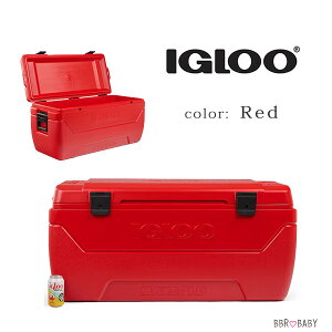 �y�y�V1�ʁz �y�݌ɗL��z�yIgloo�z�N�[���[�{�b�N�X ��^ �C�O���[ �}�b�N�X�R�[���h �N�[���[ 150QT �e�ʖ�142L ��e�� ��^ �ۗ�� �L�����v �A�E�g�h�A �X�|�[�c�ϐ� �ނ� �o�[�x�L���[ ���W