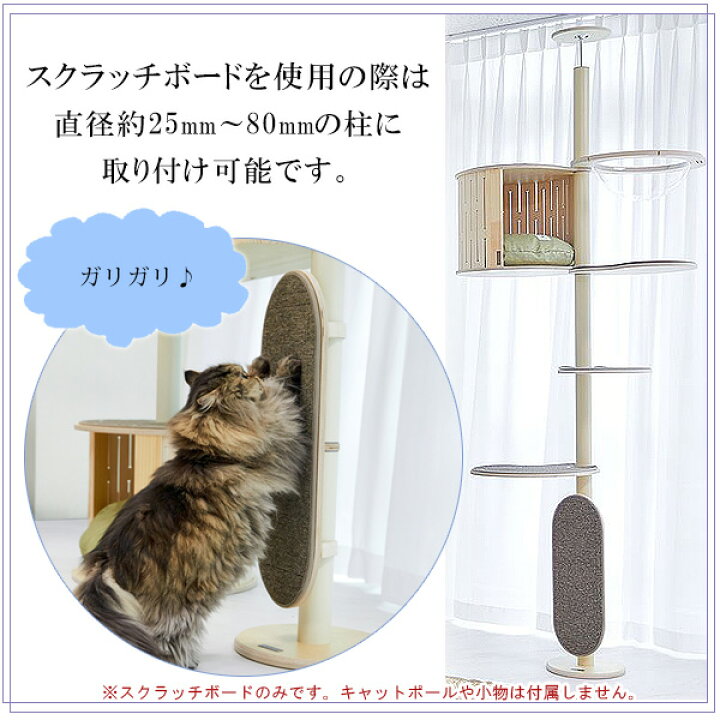 楽天市場】【楽天1位】 【在庫有り】ガトブランコ スクラッチボード 猫 