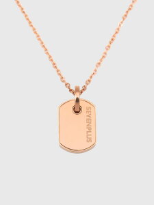 SEVEN PLUS ZuvX dg lbNX eEEFXy dgy dgJbg dgh~ 5G΍ Terra Vesper wXPA ANZT[