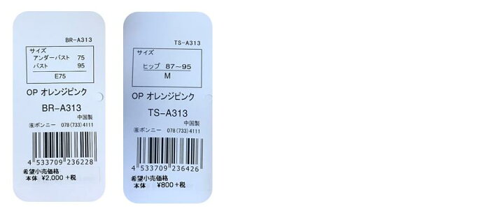 楽天市場 全国送料無料 アブソールabsorlesaleブラジャー ｔバックショーツセット ボンニーエスかわいい アブソールブラジャーショーツセット２点セット薔薇高級刺繍レースブラ Tバックショーツ A313ts Tバックセット ロマンスｋｏｂｅ