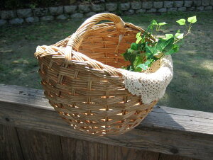 10576 EBbJ[oXPbg GfڃoXPbg [ JS   AEghA  }CoXPbg VRf 킢 