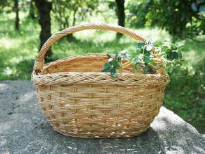 10575 ȉ~ EBbJ[oXPbg Gf  JS  [  VRf 킢  sNjbN ^ Lv