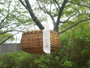 ȉ~ AO 艺 I[o oXPbg   킢 [ fBXvC