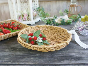 eB iC[  郉Eh STCY ؂    