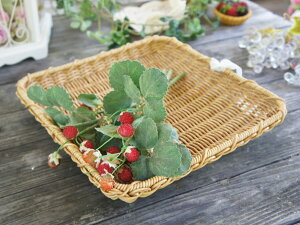 eB iC[  XNGA ؂    lp