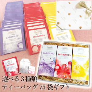 g Mtg ltFg eB[obO j j ̂ yY      a   o v[g 蕨 C{X `CX A\[g Iׂ n