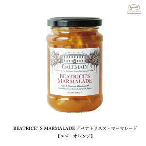 _C xAgXY}[}[h ltFg g W Mtg NX}X 蕨 v[g  Mtg 