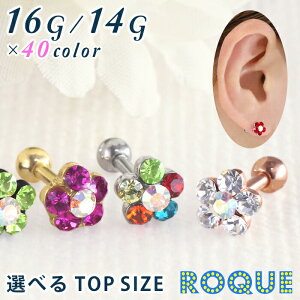 {fBsAX 16G 14G ԃLb` Xg[go[x(1)I}Pv