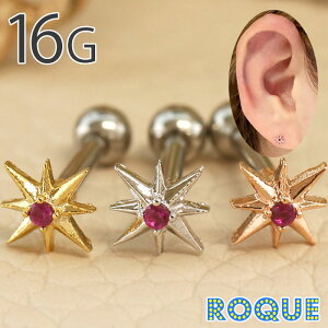 {fBsAX 16G Xp[NX^[WG Xg[go[x(1)I}Pv