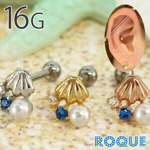 {fBsAX 16G XC[gVF`[t Xg[go[x(1)I}Pv