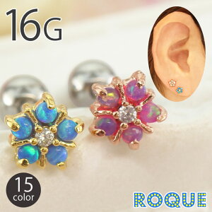 {fBsAX 16G Ip[`[t t[ WG Xg[go[x(1)[݌Ɍ]I}Pv