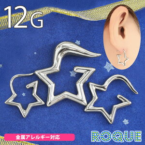 軟骨 ピアス 大きめの人気商品 通販 価格比較 価格 Com