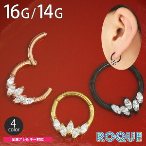 {fBsAX 16G 14G I[oL[rbNWRjA ZOgNbJ[(1)I}Pv