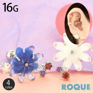 {fBsAX 16G Jt ANt[ Xg[go[x(1)[݌Ɍ]I}Pv