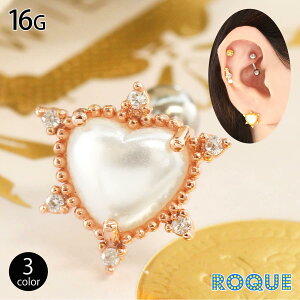 {fBsAX 16G p[n[g Xg[go[x(1)[݌Ɍ]I}Pv