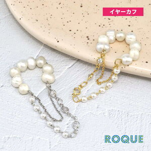 Wp[ GKg`F[ C[Jt(1)[݌Ɍ]I}Pv