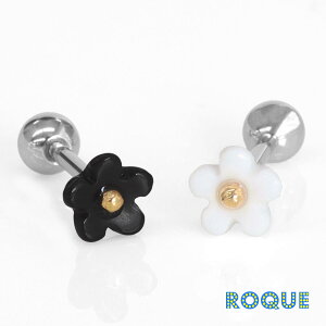 {fBsAX 16G Vv mN t[ Xg[go[x(1)I}Pv