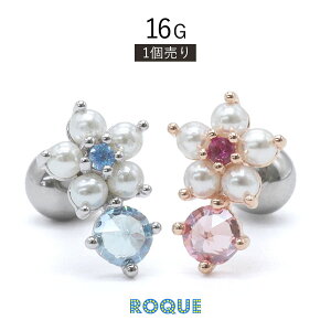 {fBsAX 16G O[X WG v` t[ Xg[go[x(1)I}Pv