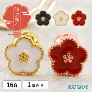 {fBsAX 16G ~̉ `[t Xg[go[x L Vt (1)I}Pv