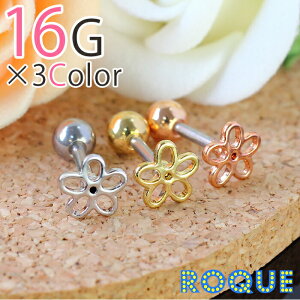 sAX {fBsAX 16G ~jt[ Xg[go[x(1)I}Pv