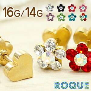 {fBsAX 16G 14G t[n[g _utFCX Xg[go[x(1)[݌Ɍ]I}Pv