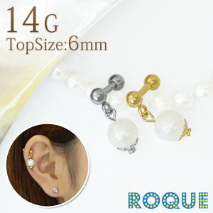 {fBsAX 14G AR^`[Xg[go[x Yp[[sAX  sAX p sAX][{fB[sAX](1)[݌Ɍ]I}Pv