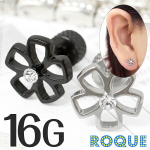 AvO {fBsAX 16G t[`[t |CgWG tFCNvO(1)[݌Ɍ]I}Pv