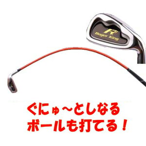 【レディース追加】【よりソフトタイプ追加】ムチのようにしなる柔らかいシャフトでプロスイングを身につける ボールも打てる練習機 広田ゴルフ ロジャーキング スイングドクターアイア
