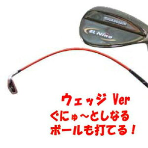 【待望のウェッジバージョン】【よりソフトシャフト追加】ムチのようにしなる柔らかいシャフトでプロスイングを身につける ボールも打てる練習機 広田ゴルフ ロジャーキング スイングド