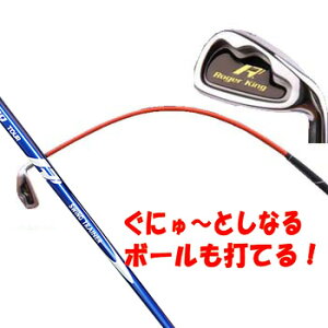 【 58口径 グリップ さらに進化したアイアンタイプ】 ムチのようにしなる柔らかいシャフトでプロスイングを身につける ボールも打てる練習機 広田ゴルフ ロジャーキング スイングドクター