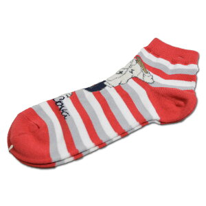 ViRo C Y  IW 20177460y y z[ SINACOVA }EFA Xj[J[\bNX \bNX   C [։   X|[c Mtg St golf 