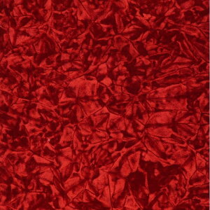 y11/1͓XP5{!z؎R A[xbh둋J[e `` m[}(nt)dl tysz|gbNpi gbN J[pi ԗpi gbNpJ[e gb