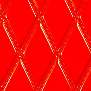 y11/30̓Ggzn ^ _C bh mPʐؔ s|gbNpi gbN J[pi ԗpi  Jo[ g[^R[fBl[g Gi WLg _uLg