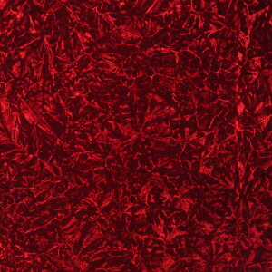 y11/1͓XP5{!z؎Rn lI`` _[Nbh mPʐ؂蔄 ̂薳|s|gbNpi gbNp gbN ؎R n 萶n ^[ Pbg ؎Rn 