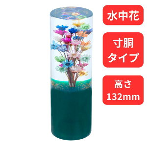 ԃVtgmu ^ O[ WFbgCmEG 560899 gbNpi J[pi gbNp gbN    Vtgmu `FWmu  Xg[g g fRg 10×1.25 12×