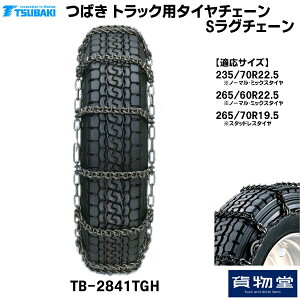 T[TB[2841TGH ΂gbNp^C`F[ SO`F[|͌`|s [J[z|gbNpi gbNp gbN oX ^C`F[ y ᓹ ACXo[ H